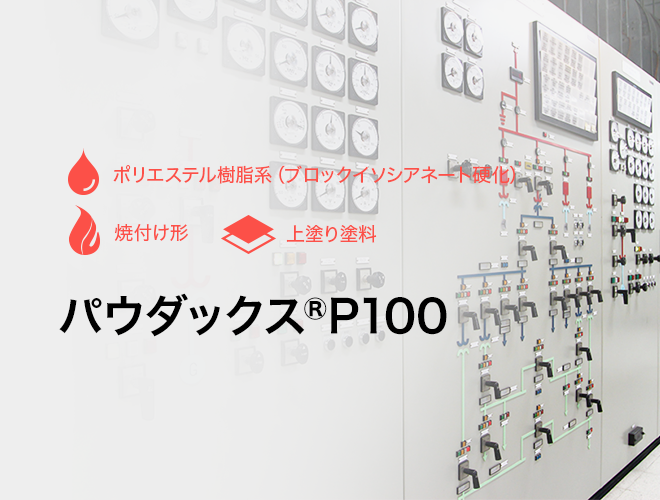 パウダックス® P100